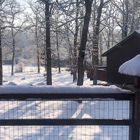 South Soul Cottage Somme-Leuze Екстериор снимка